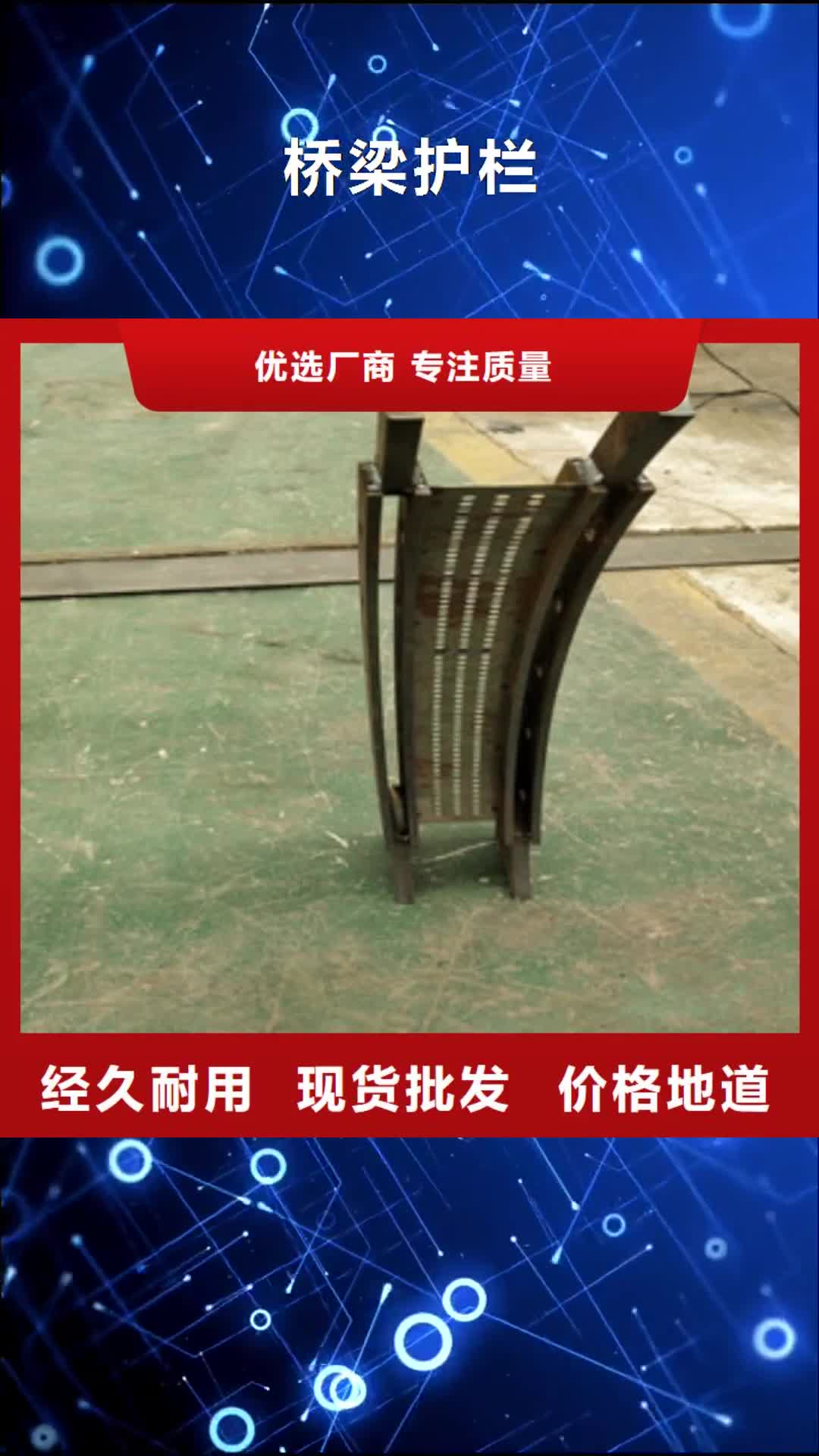 三亚【桥梁护栏】人车分流栏根据要求定制
