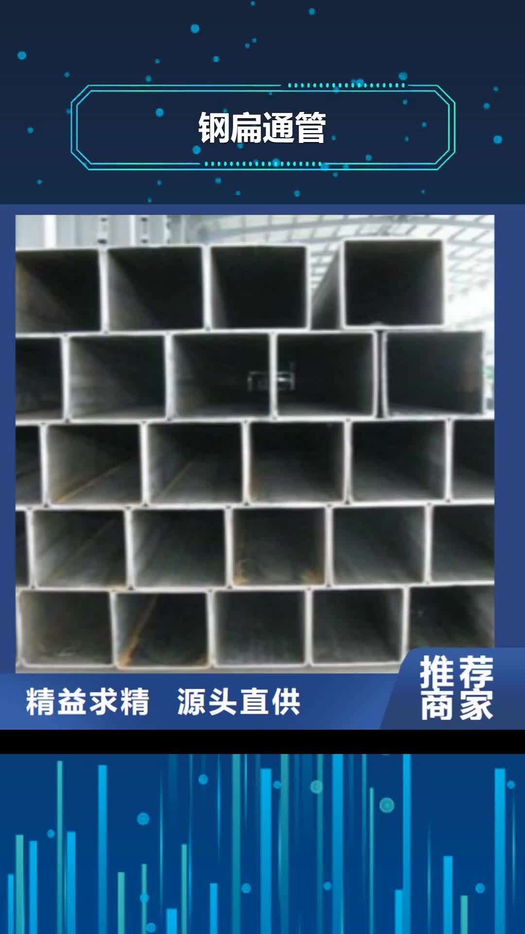 秦皇岛【钢扁通管】-D价格公道合理