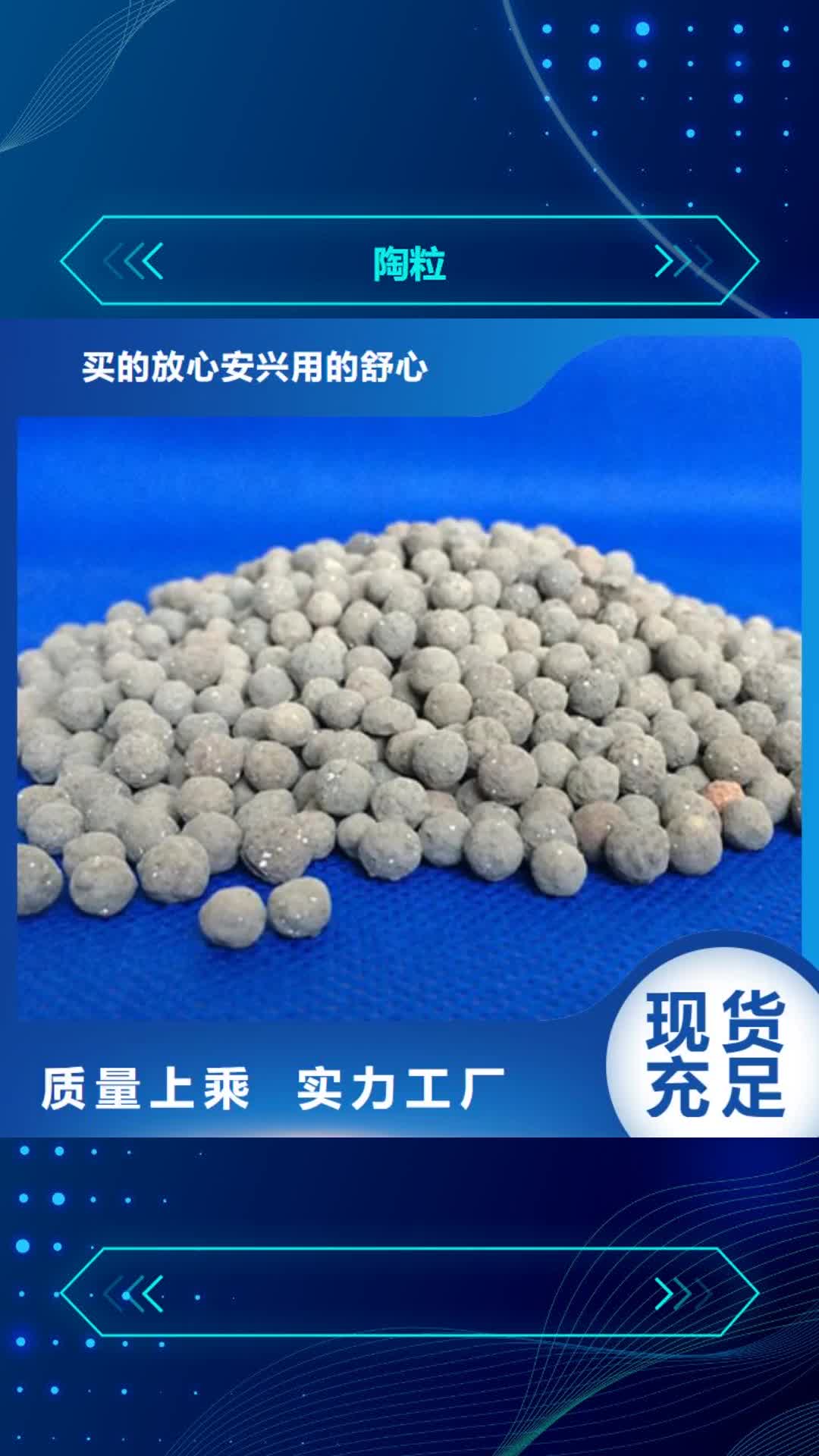 【直辖 陶粒_pam聚丙烯酰胺厂家经验丰富】