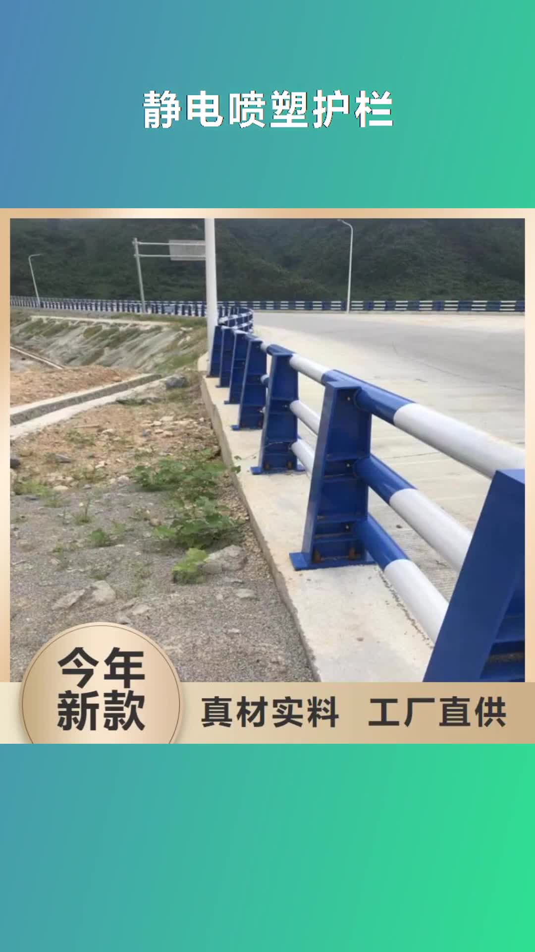 六安【静电喷塑护栏】,河堤护栏质检合格出厂