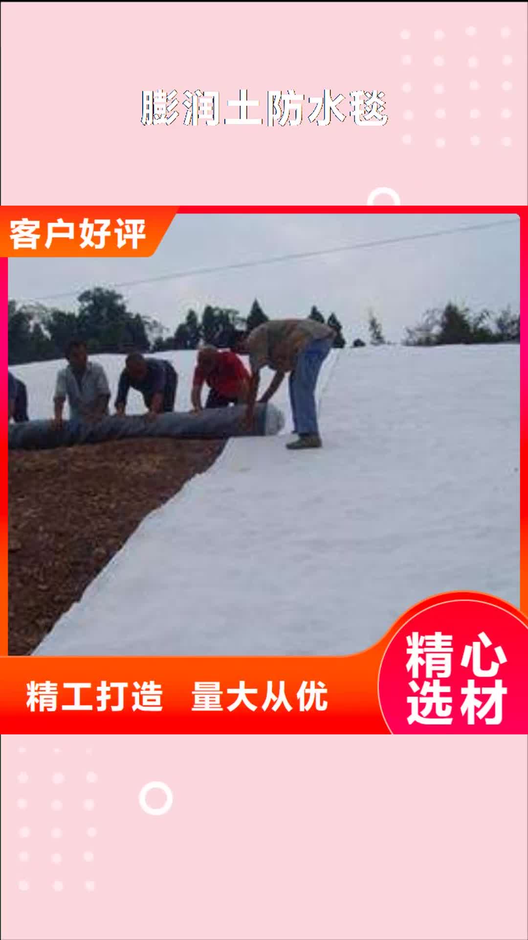 【石家庄 膨润土防水毯,软式透水管当日价格】