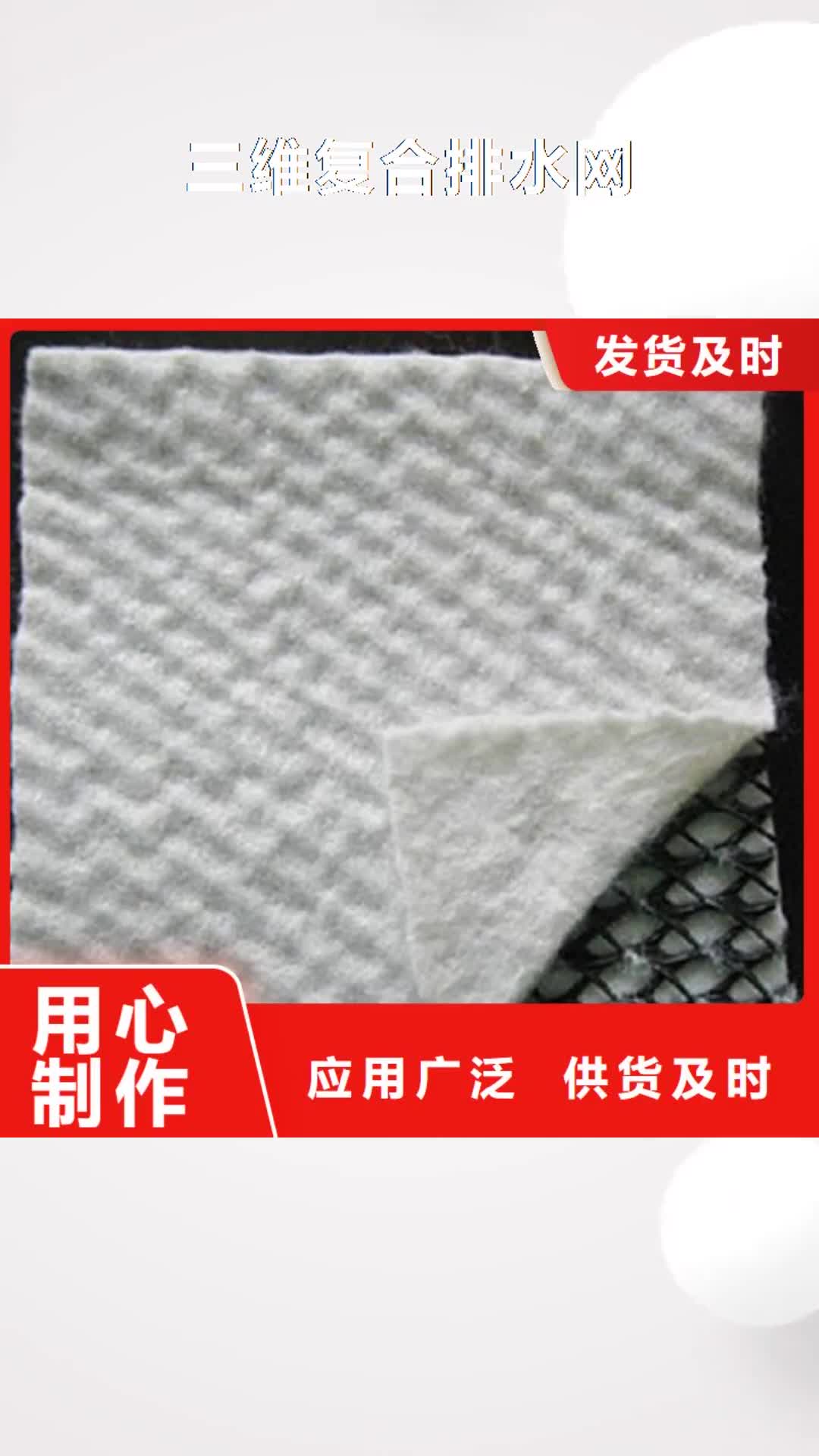 【蚌埠 三维复合排水网 HDPE土工膜源头厂家供应】