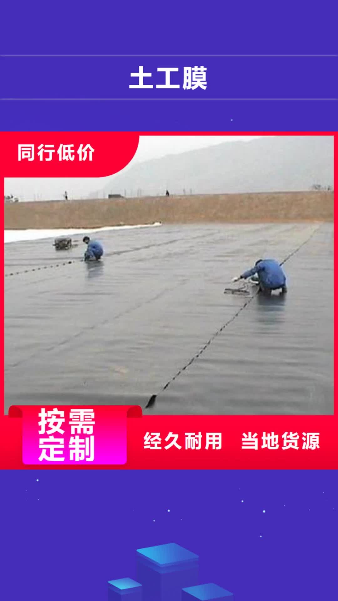 【遵义 土工膜双向塑料土工格栅精工制作】