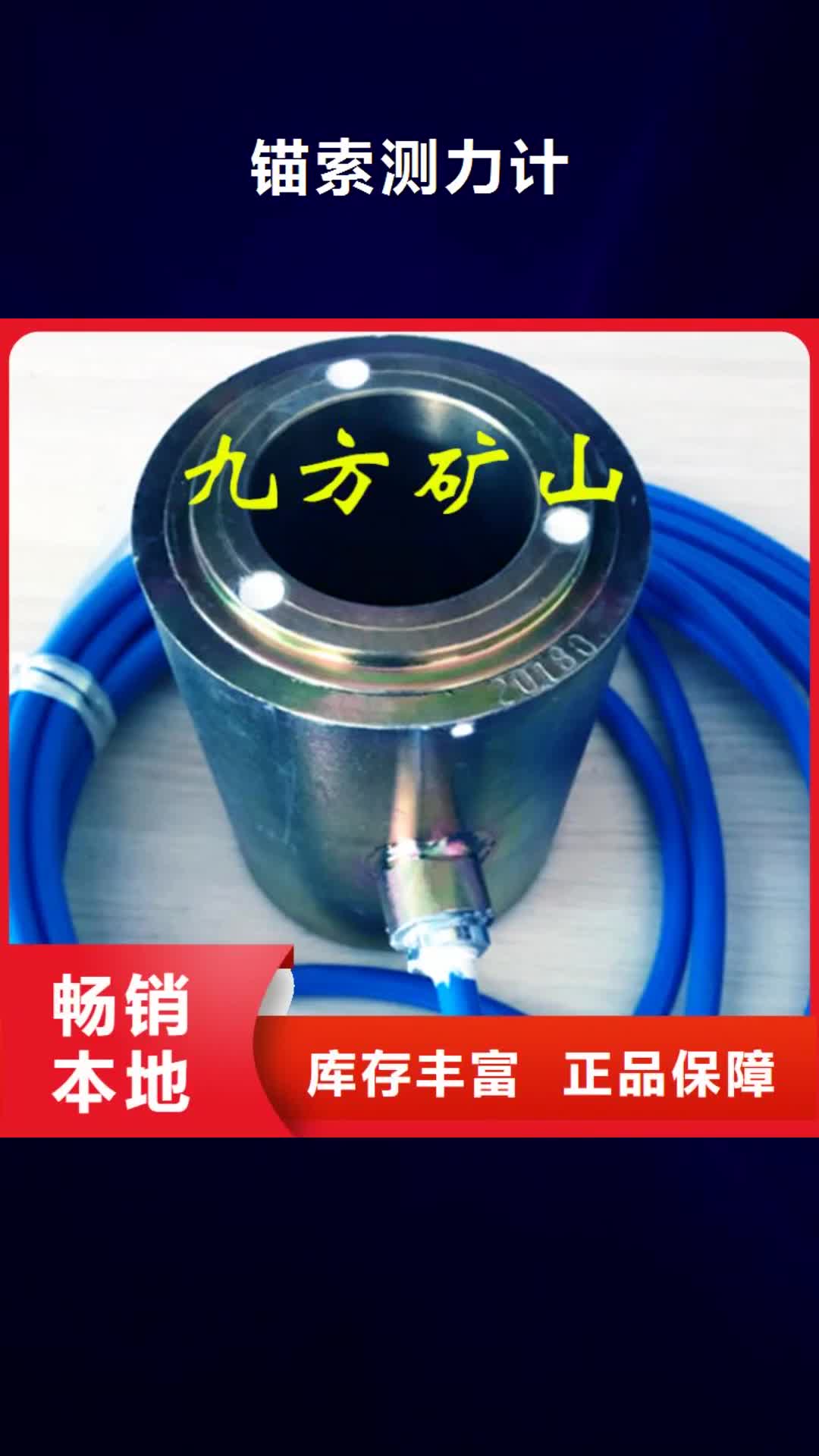 商洛【锚索测力计】_顶板离层仪本地配送