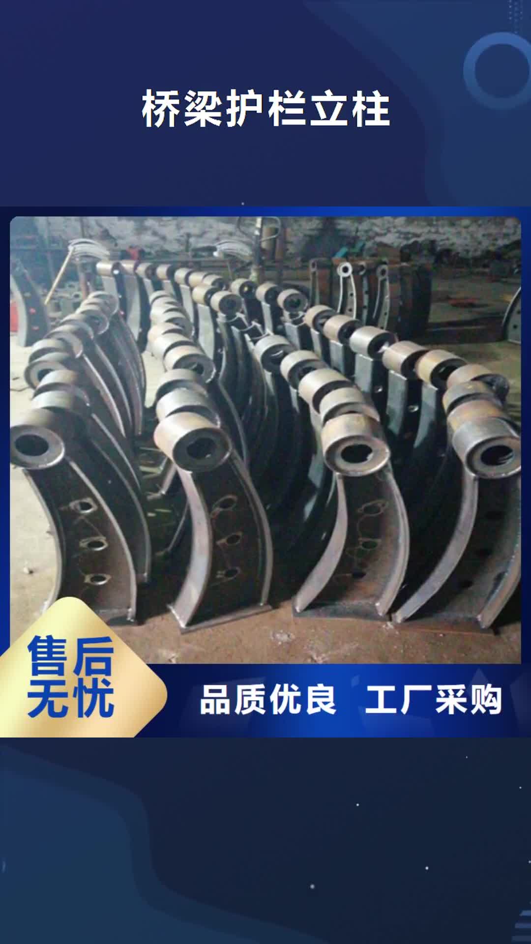 甘南【桥梁护栏立柱】-防撞护栏立柱实力厂家
