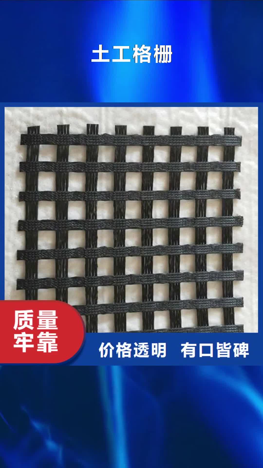 榆林 土工格栅支持批发零售