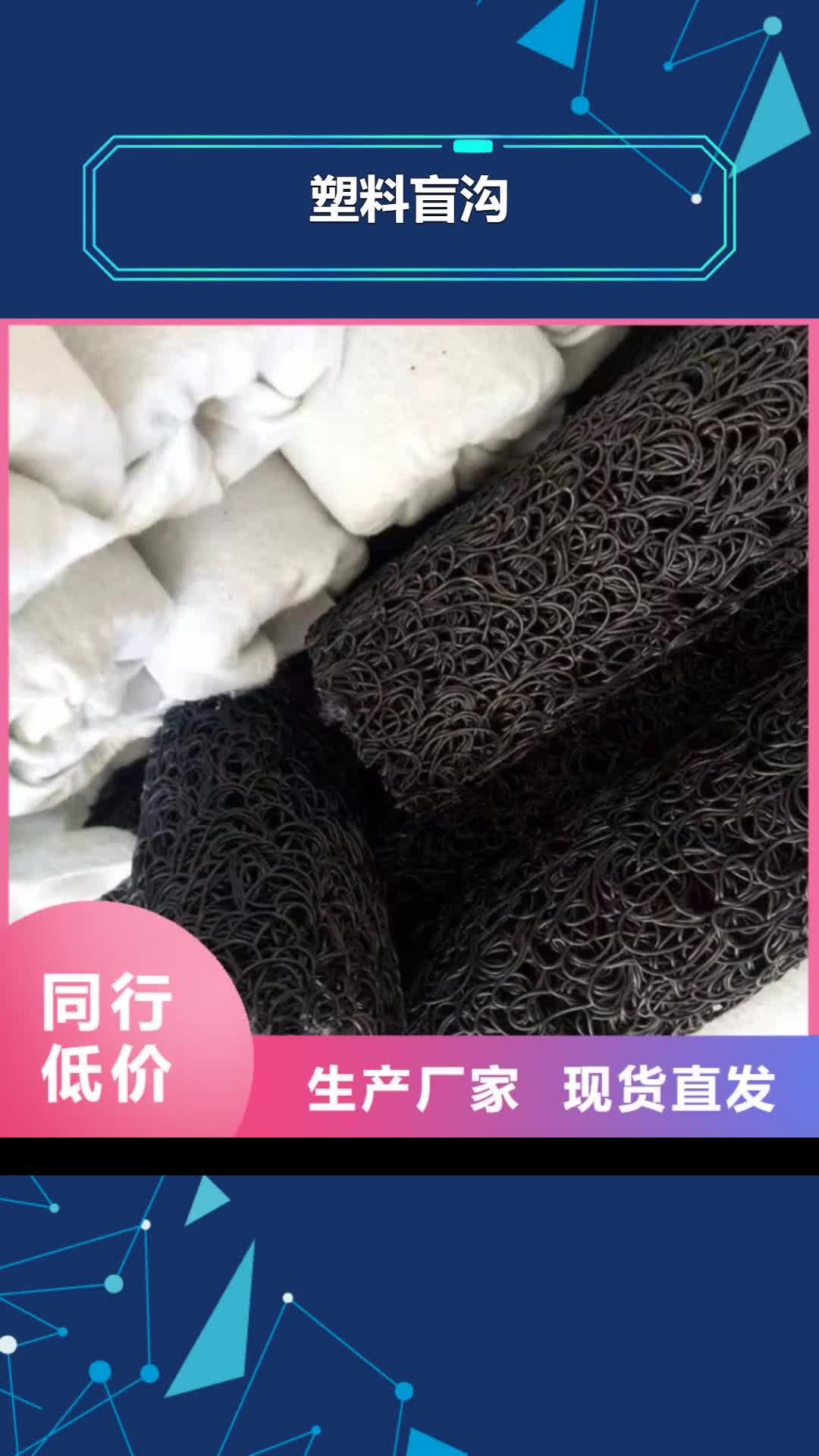 池州 塑料盲沟-【玻纤格栅】工厂直供