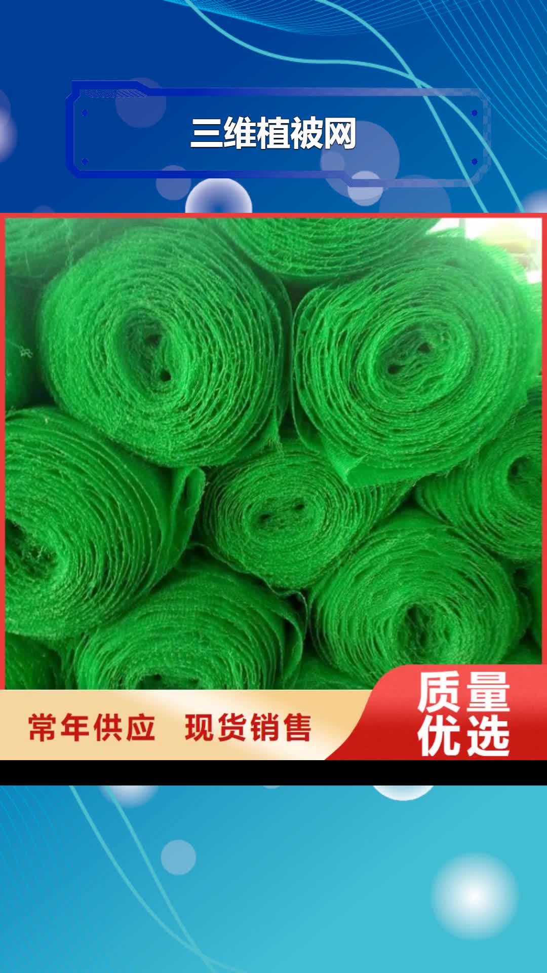 甘南 三维植被网,【土工格室】源头实体厂商