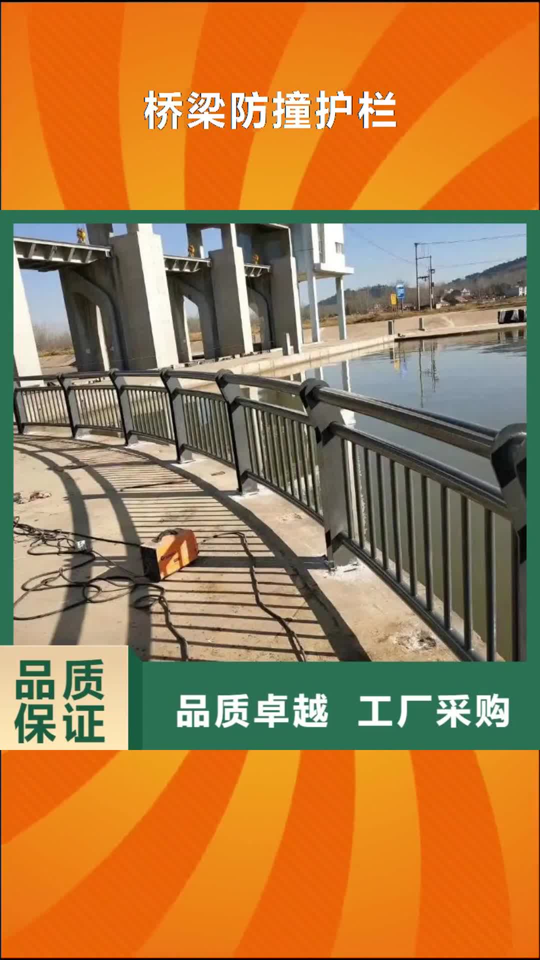广西 桥梁防撞护栏 【镀锌喷塑防撞栏】实拍品质保障