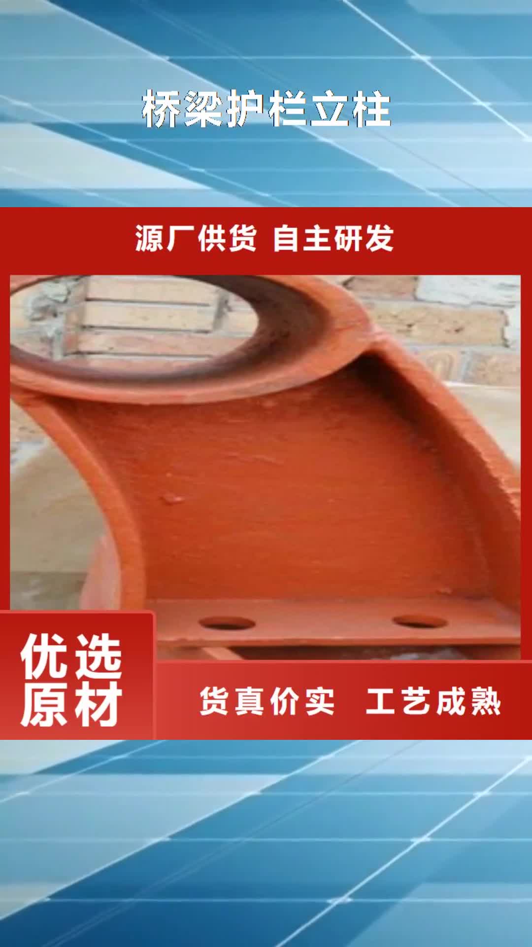 【辽宁 桥梁护栏立柱,镀锌喷塑钢板立柱精工打造】