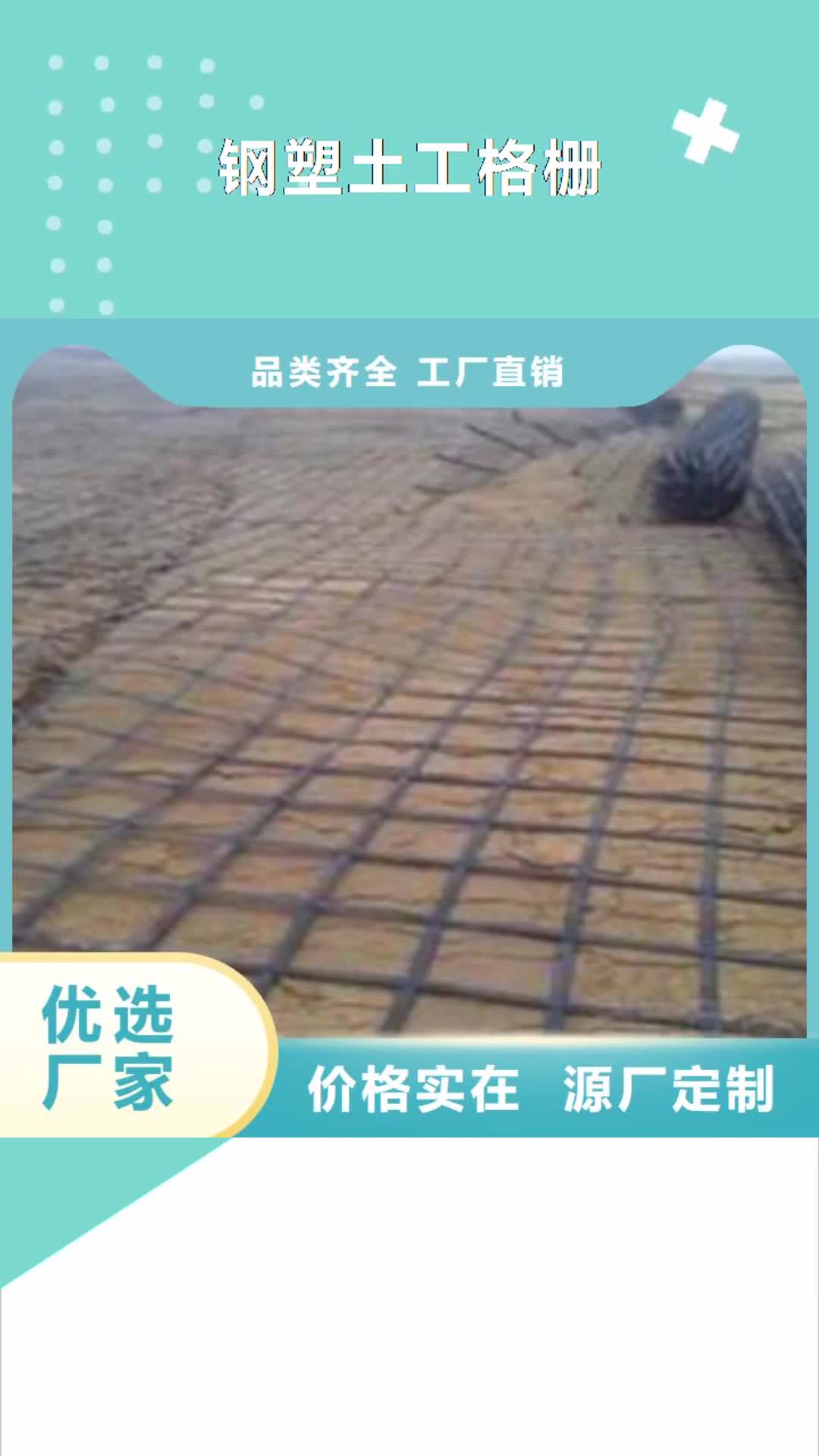 泰安 钢塑土工格栅_【塑料土工格栅】多年经验值得信赖