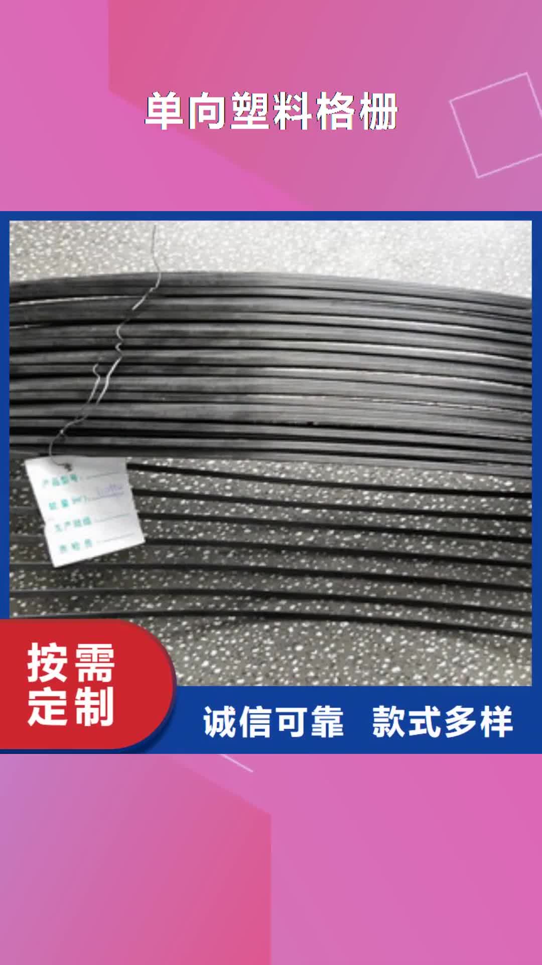 【湖南 单向塑料格栅_钢塑土工格栅厂家直销】