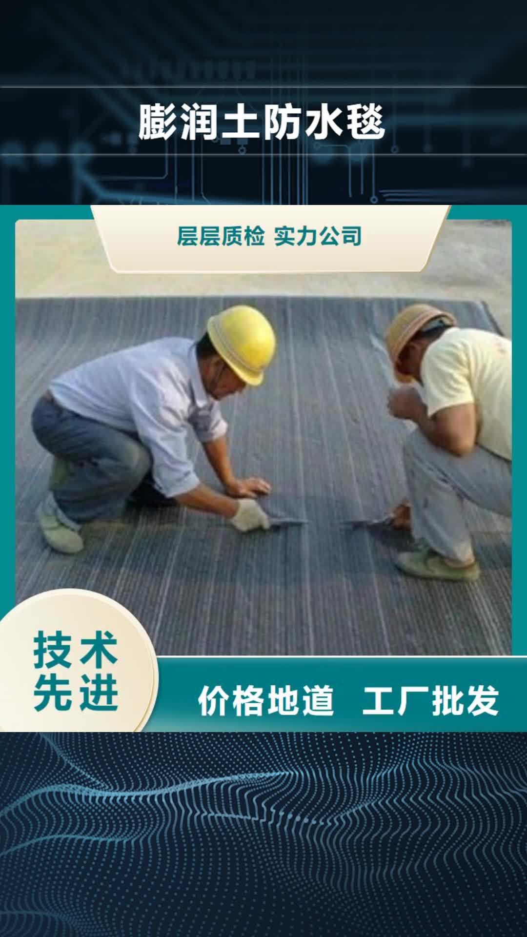 【梅州 膨润土防水毯,三维植被网闪电发货】