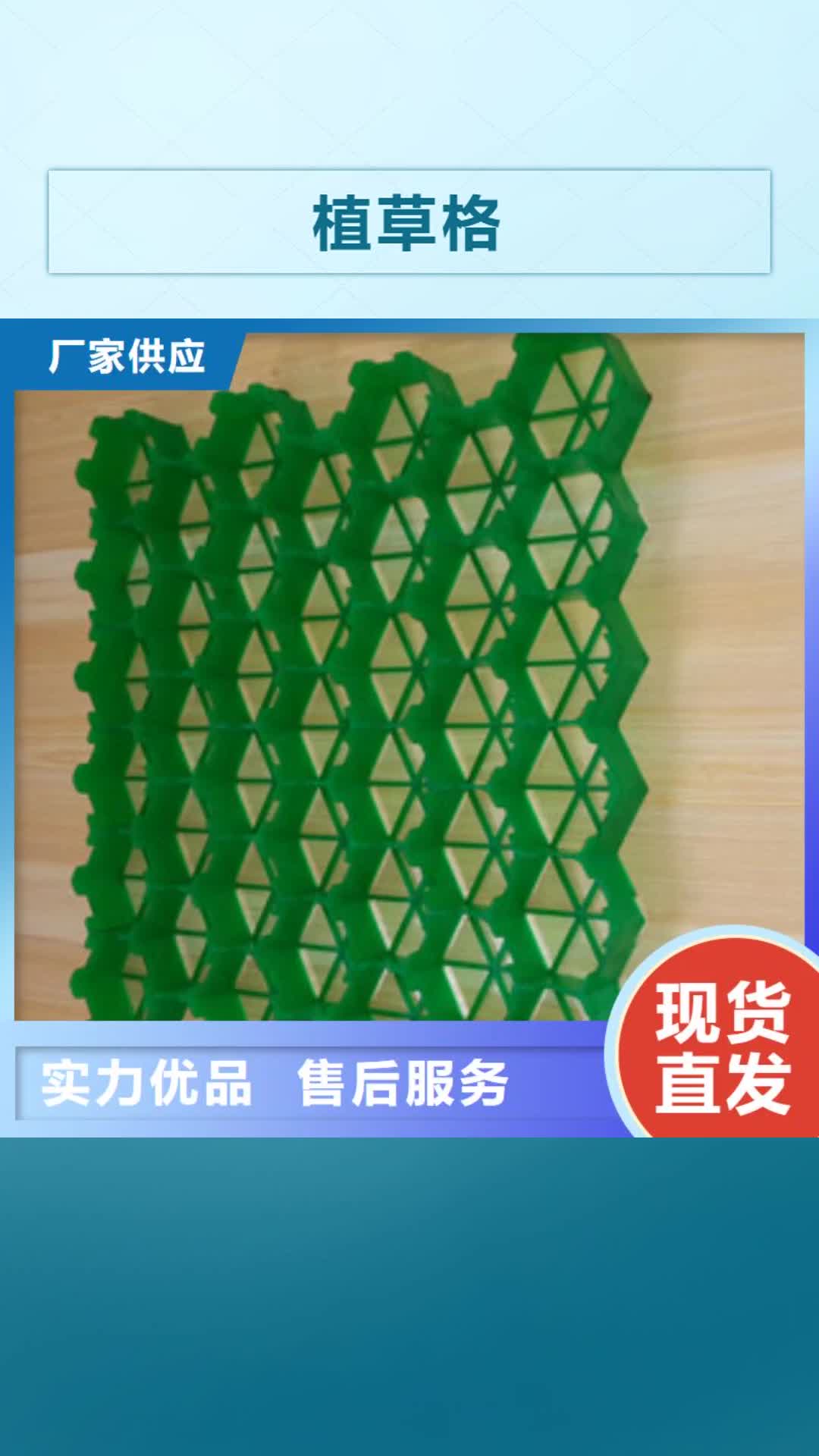 河池【植草格】,膨润土防水毯厂家品质过硬